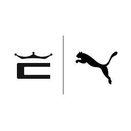 Cobra logo - tech saas brand identity design