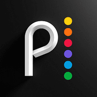 Peacock logo - tech saas brand identity design