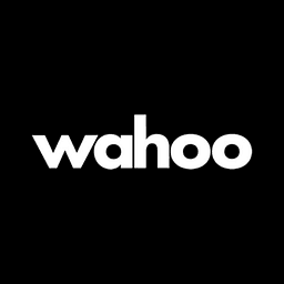 Wahoo logo - tech saas brand identity design